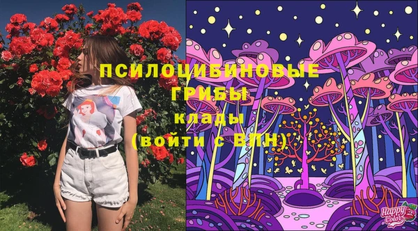 сатива Костерёво
