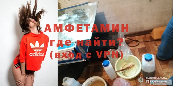 сатива Костерёво